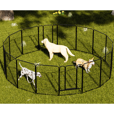 Parc d'exercice intérieur et extérieur pour chien