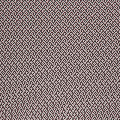 Suite Crimp Fabric