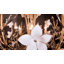 Lustre Petal Court-573041493