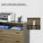 File Cabinet with Shelf and 2 Drawers