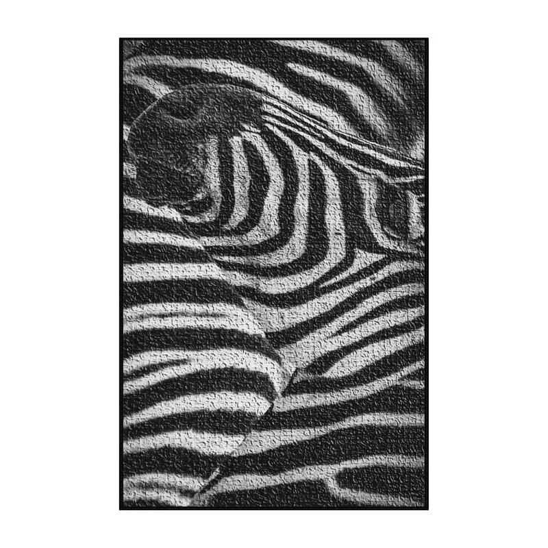 Indoor Rug, Rectangle 3' x 5'