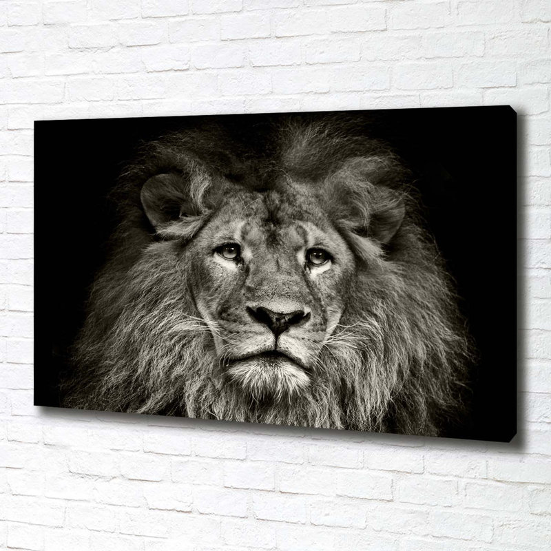 Lion - Wrapped Canvas Print
