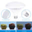 Softbox Lighting Kit