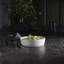 Toulouse Round Gratin
