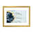 Gold Paper n'est pas disponible