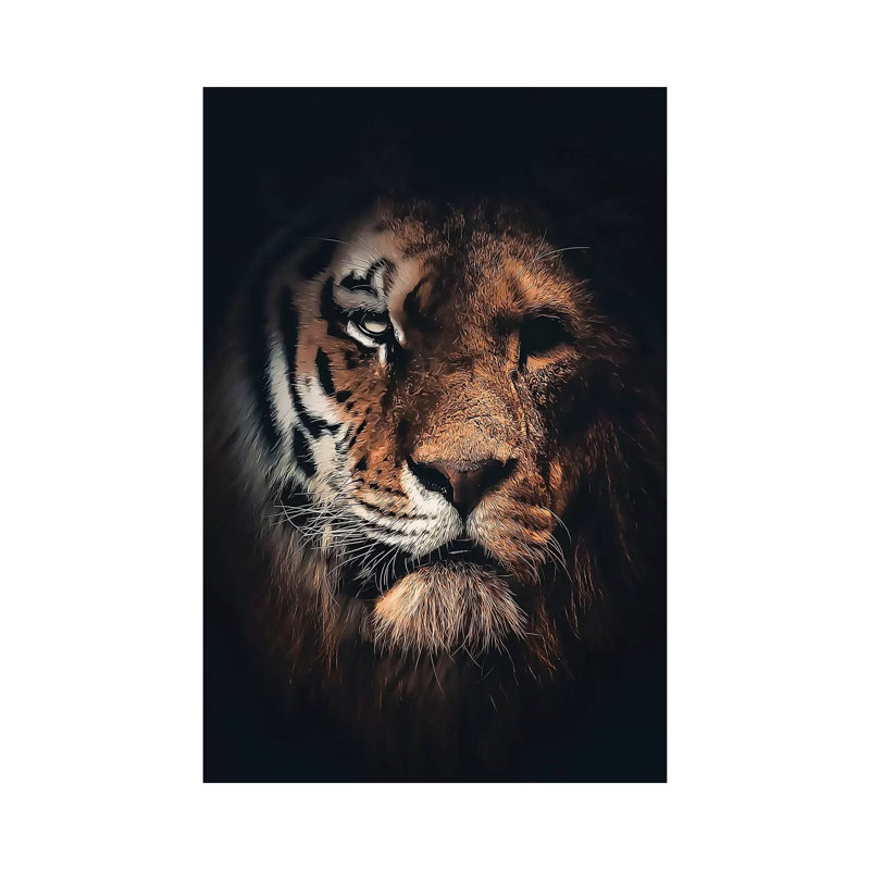 Half Tiger Half Lion by Zenja Gammer - Print on Canvas, Wrapped Canvas, 20.32 cm H x 30.48 cm W