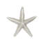 2" Starfish Small Knob-104674674-126755978-39948825