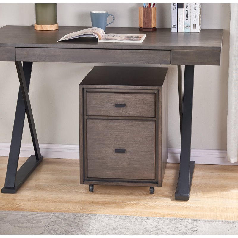Beldegg 16'' Wide 2 -Drawer Mobile File Cabinet, Gray
