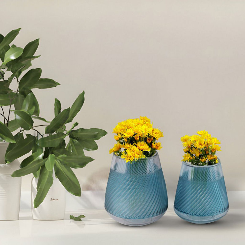 Pot Aniceto, Bleu