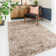 Dinton Shag Area Rug