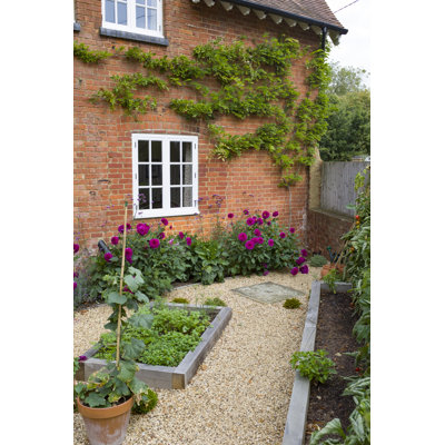 " Small Courtyard Garden "
