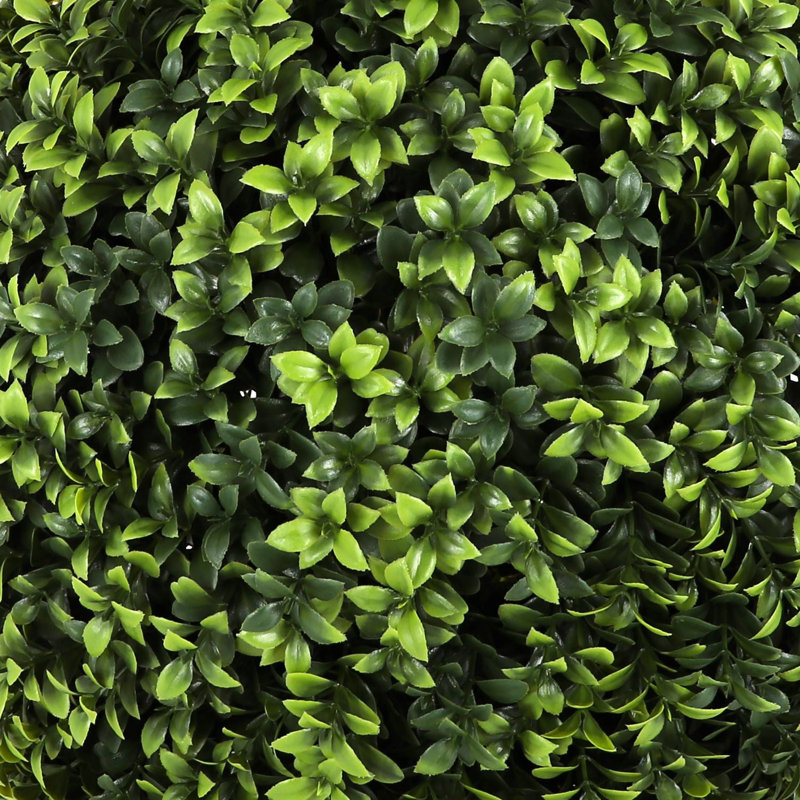 Primrue - Artificial English Boxwood Topiary Ball Tree, 2