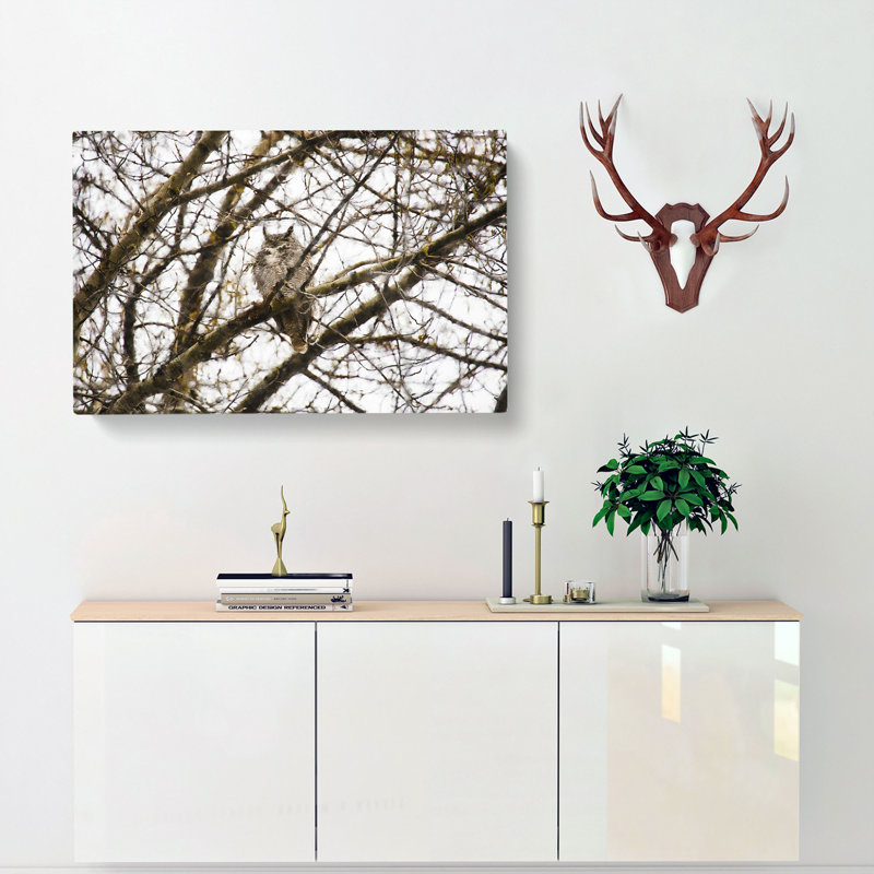 Great Horned Owl Resting - Wrapped Canvas Painting, 35cm H x 50cm W x 3cm D