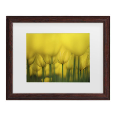 Bolog Takashi Suzuki  Yellow One Color Matted Framed Art