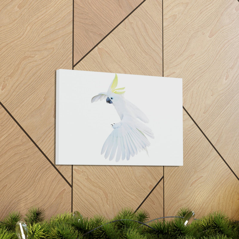 «Cockatoo Hunting Cockatoo on Hunt», reproduction d'art mural, H 18 po x l 24 po