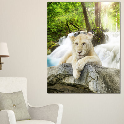 « white lion », impression sur toile