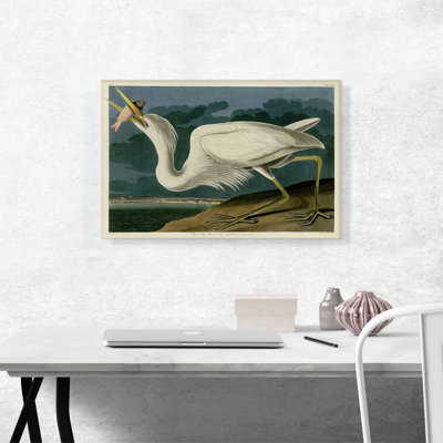 «Great White Heron» par James Audubon, reproduction d'art sur toile tendue