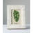 Langham White Bone Embossed Picture Frame
