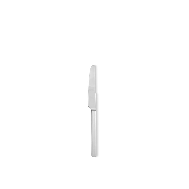 Dry Stainless Steel Dinner Knife