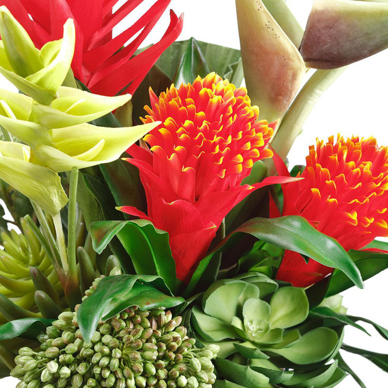 24,5H17W17 L L Protea / Bromelia (P