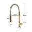 Belfry Kitchen Dejean Kitchen Faucet