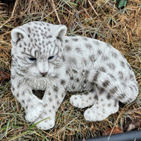 Hi-Line Gift Ltd. Snow Leopard Cub Statue & Reviews