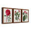 Ensemble de 3 peintures sur toile Roseat Blooms IV-1642987143-1642987162