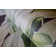 Tropical Collection 4 Panel Wall Mural 8.8' L x 110.2" W in A Tropical Forest Design