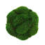 Mood Moss Arranged in Ceramic Pot