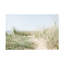 Paysage, dunes, chemin vers la mer-240246404