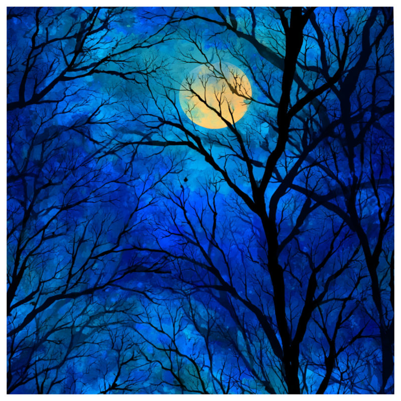 Édredon au clair de lune Boho, Très grand lit