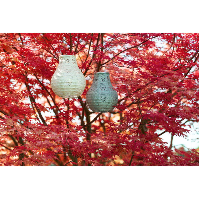 Soji Solar Powered Integrated LED Bulb Lantern