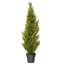 The Holiday Aisle® Cedar Tree-15047224