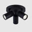 Auralia Spotlight-1492624324