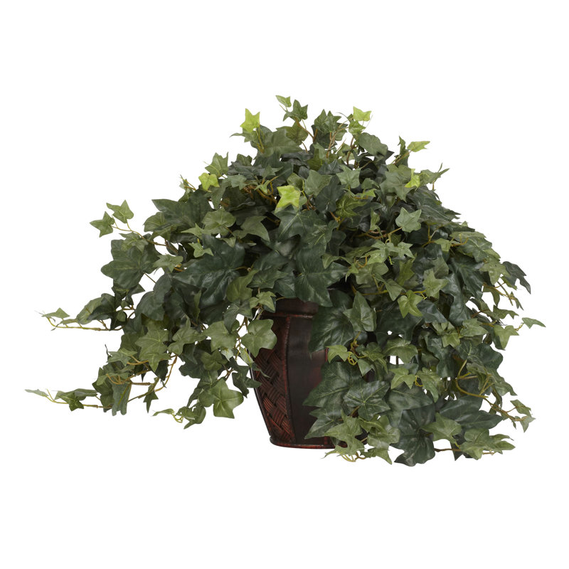 Plante ivy artificielle 21" dans un vase décoratif