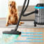 ANJUANK Canister Vacuum