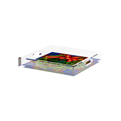 Plateau décoratif carré en acrylique vert tartan couronne de Noël