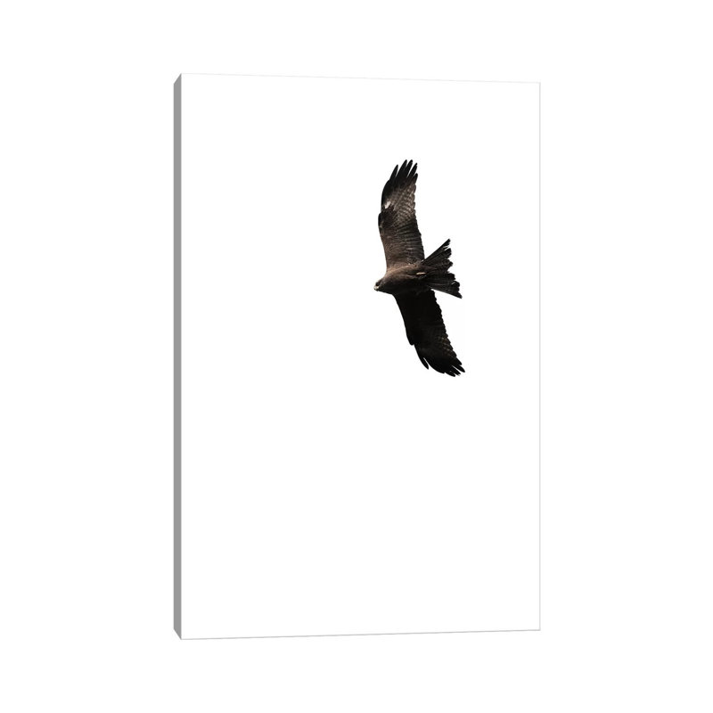 Buzzard by Amy & Kurt Berlin - Wrapped Canvas Print, 20.32 cm H x 30.48 cm W