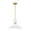 Luminaire suspendu moyen 1 lumière Belcarra-88980037