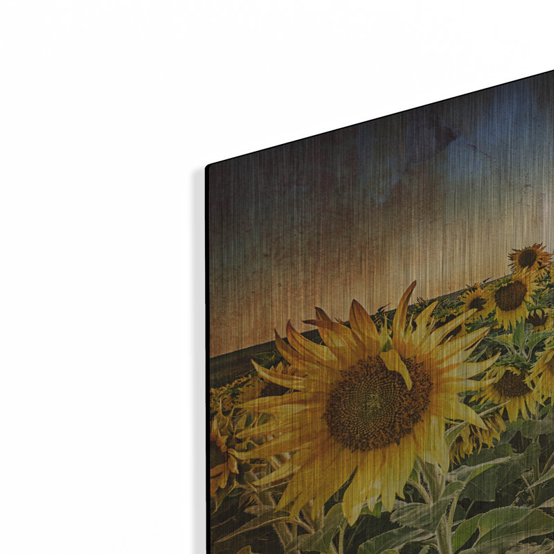«Aroostook Sunsetre» par Rick Berk, H 24 po x l 36 po