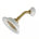 Satin Brass