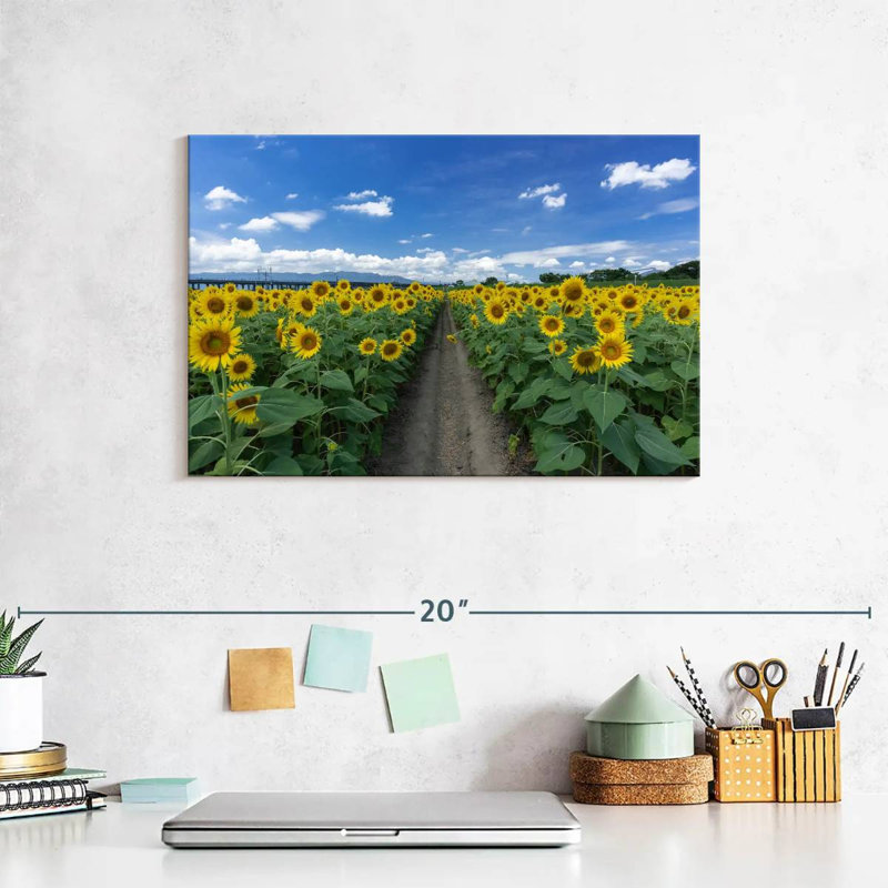 Sunflower Field Path, 8" H x 12" W