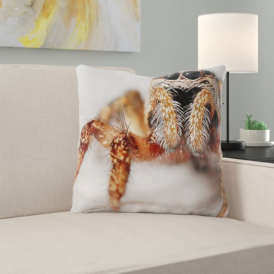 Coussin de spider