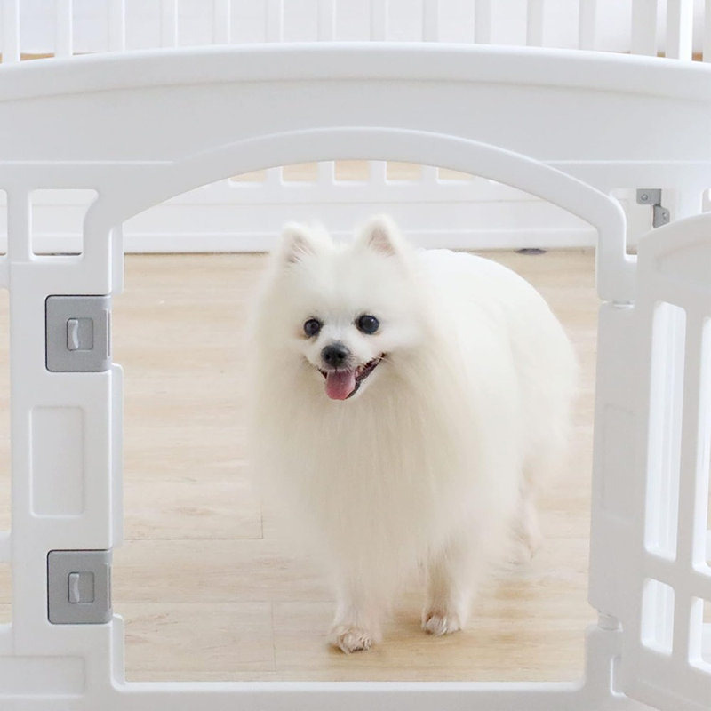 Parc pour animaux de compagnie pour chiens