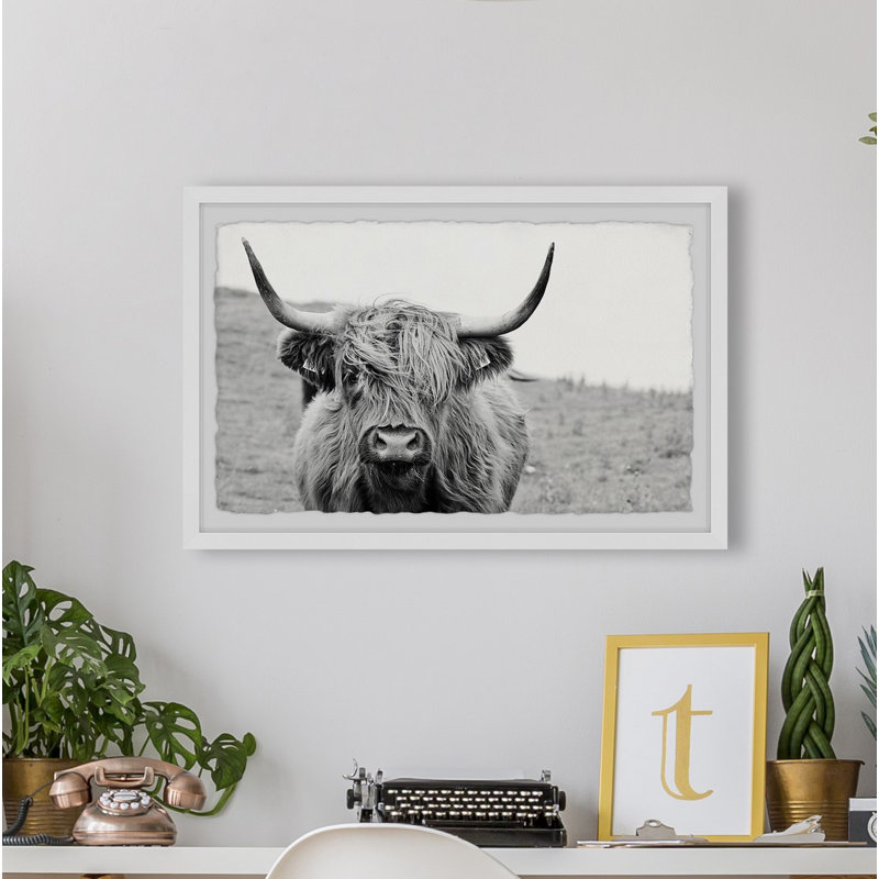 Mountain Cow - Single Picture Frame Print, 38cm H x 45cm W x 3.81cm D