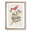 Summer Red Birds by John Audubon - Picture Frame Painting Print-55614355-55614356