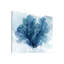 Coastal Coral II by Carol Robinson - Painting on Canvas-2140648346-2140648344