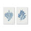 «Nature's Blueprints», ensemble de 2, reproduction sur toile-1690252644-1690252647