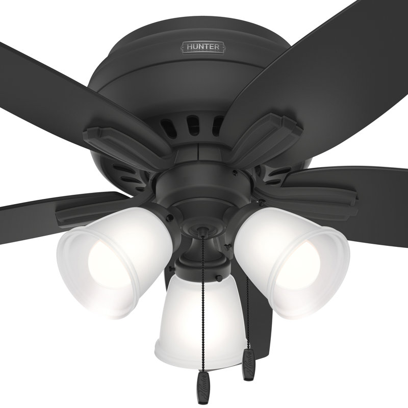 Newsome 42" 5 - Blade Traditional Indoor Flush Mount Ceiling Fan with Lights and Pull Chains, Matte Black