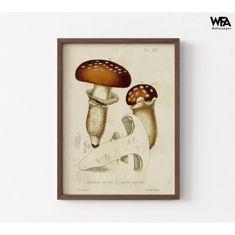 Reproduction d'affiche champignon sauvage, art mural encadré champignon magique, impression d'art mural champignon, décoration murale botanique, art mural encadré, art mural surdimensionné
